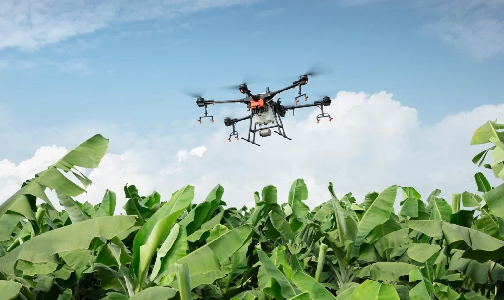 cartographie drone agriculture